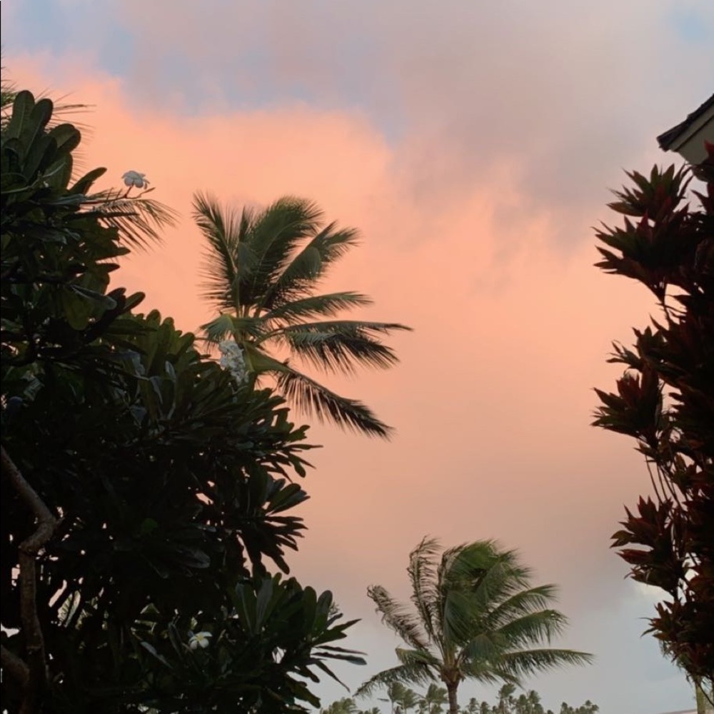 Meet your Posher, Ella